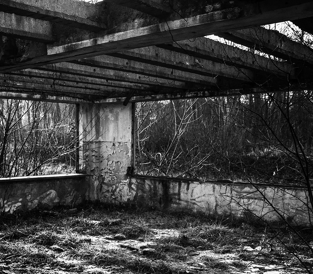 Nikon D90 sample photo. Otwock photography