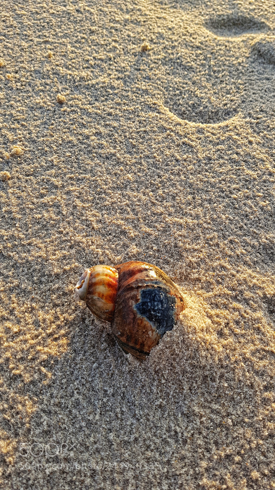 Samsung Galaxy S8+ sample photo. Untitled photography