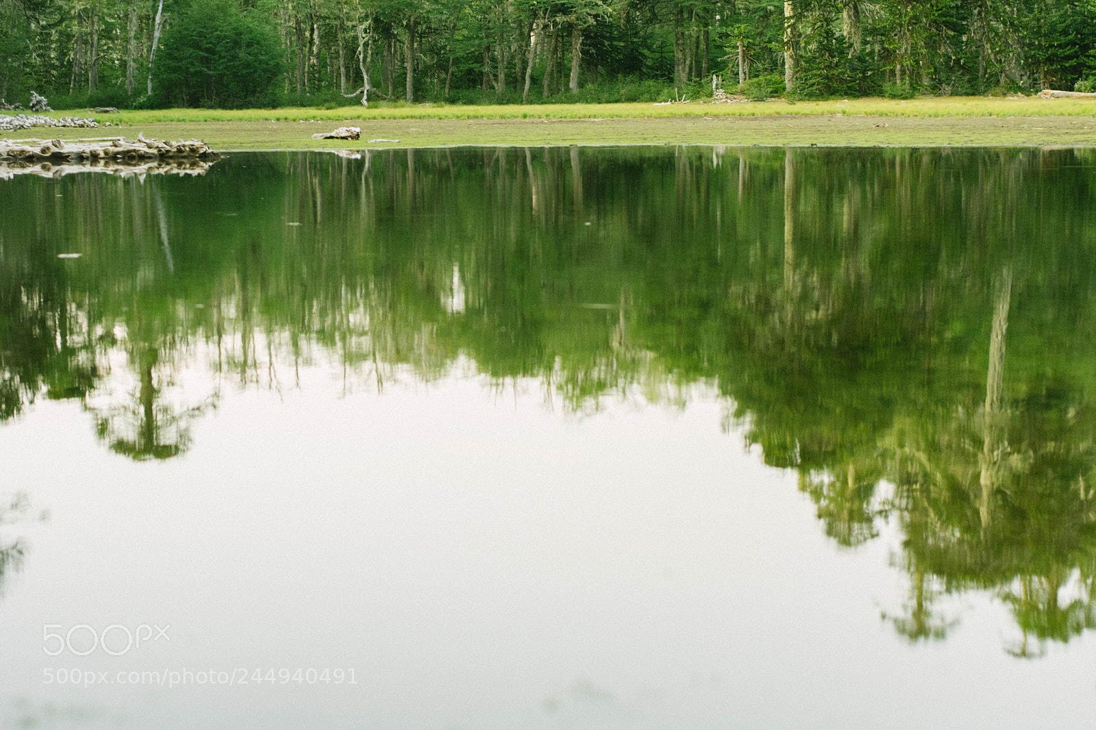 Nikon D5200 sample photo. Nature photography