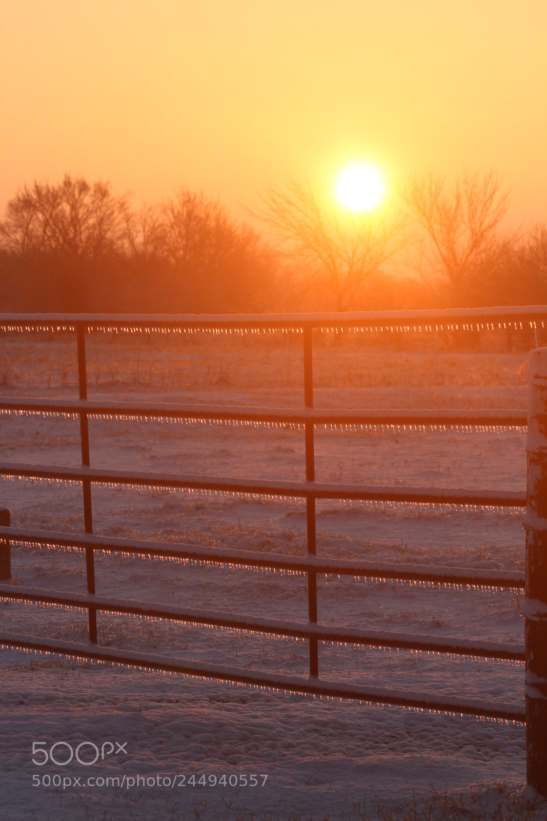 Canon EF-S 55-250mm F4-5.6 IS II sample photo. Iced gate at dawn photography