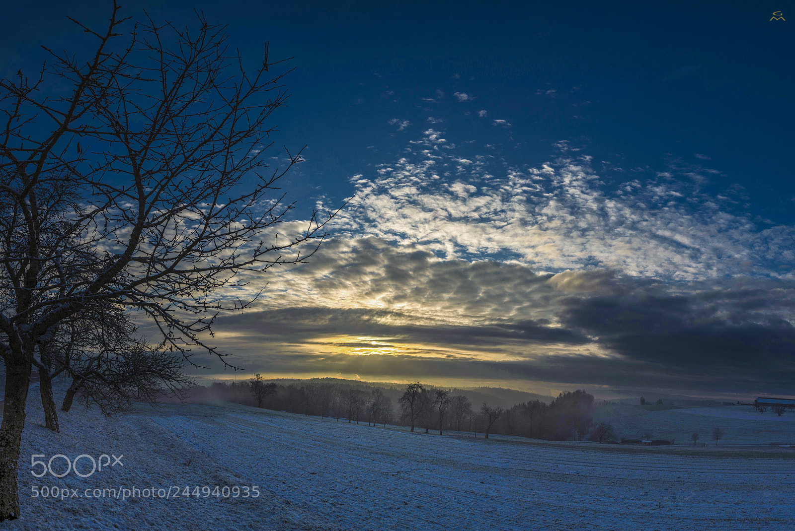 Nikon D4 sample photo. Good morning little winter photography