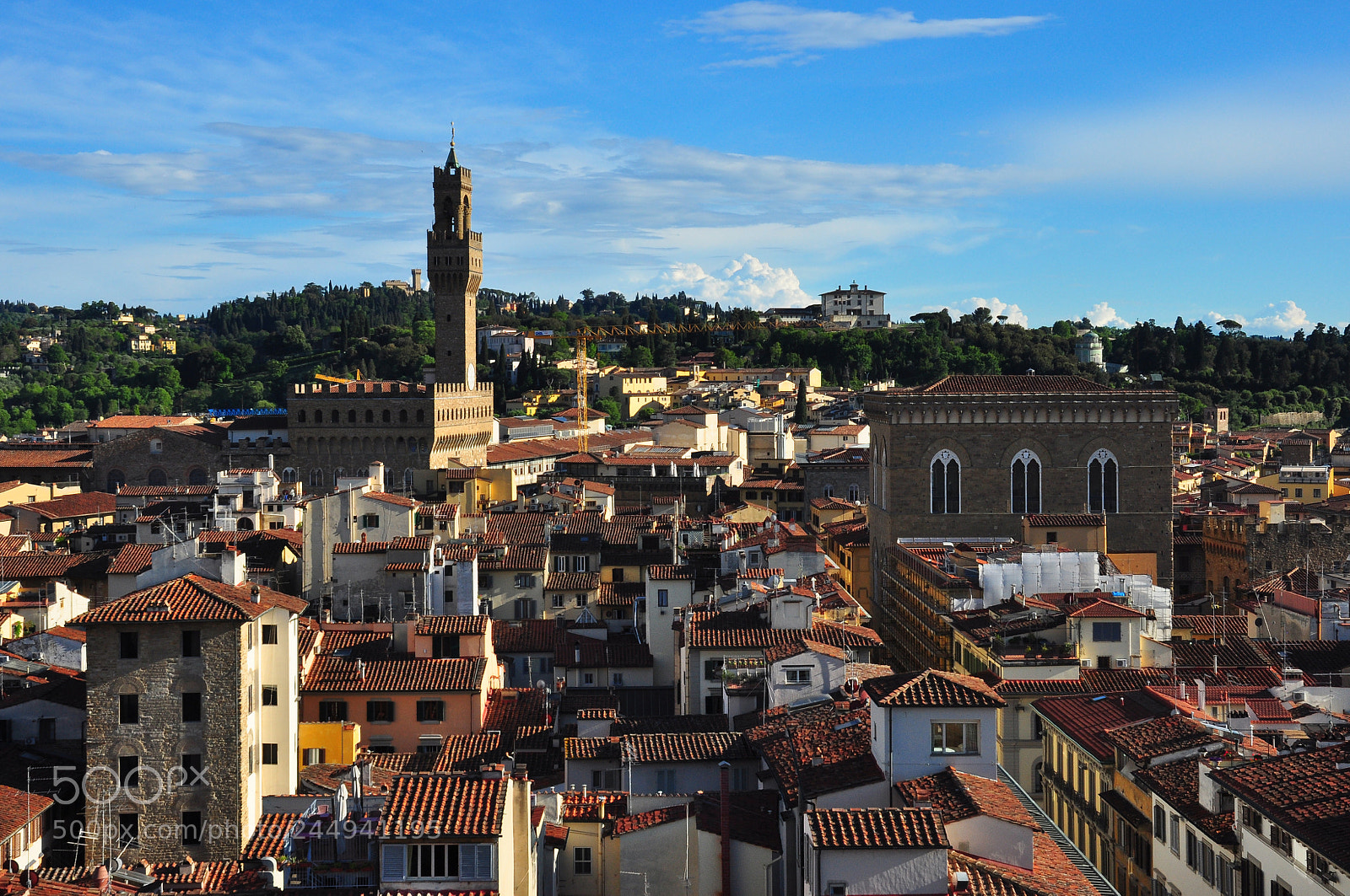 Nikon D90 sample photo. Roofs of florence photography