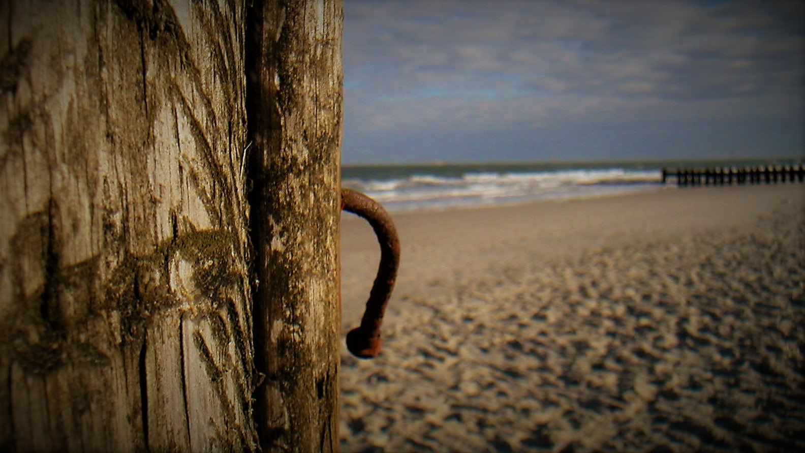 KONICA MINOLTA DiMAGE X sample photo. Part of the beach photography