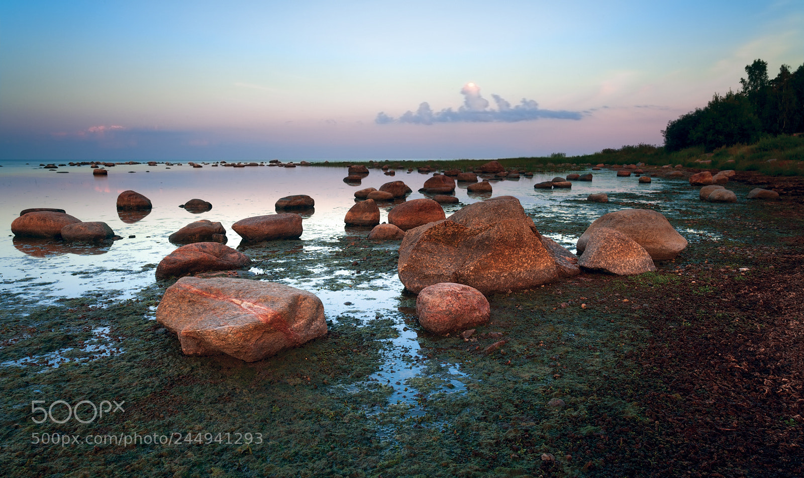 Canon EOS-1Ds Mark II sample photo. Yx photography