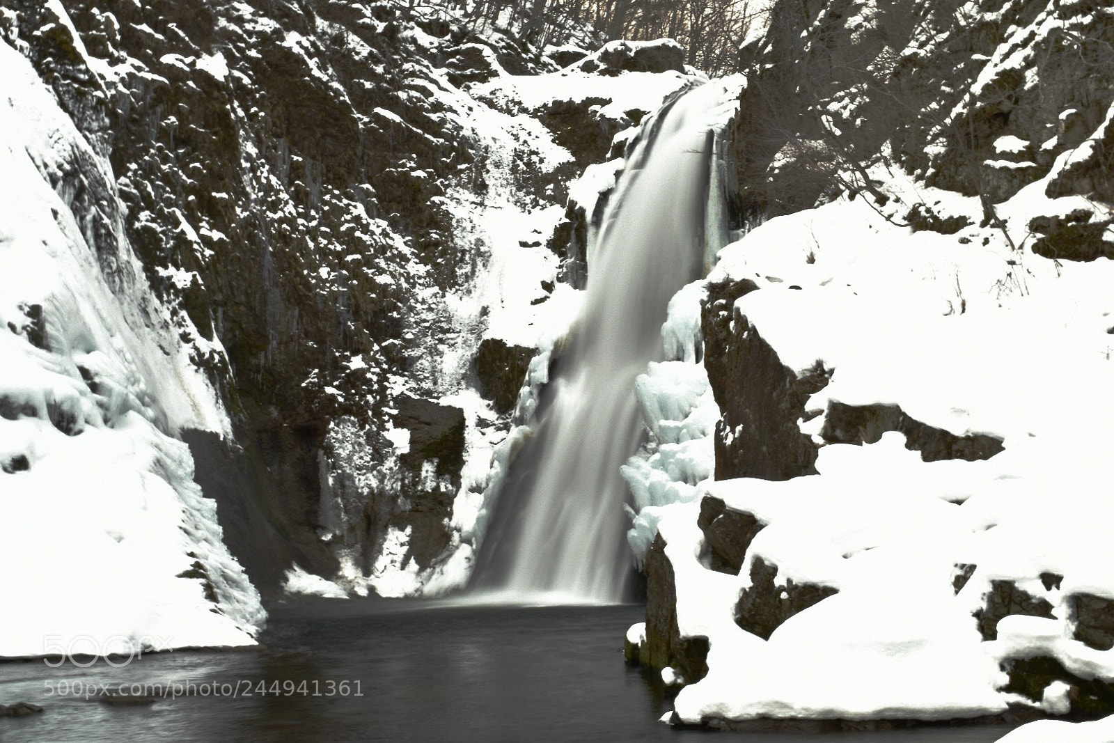 Nikon D5500 sample photo. White&black photography