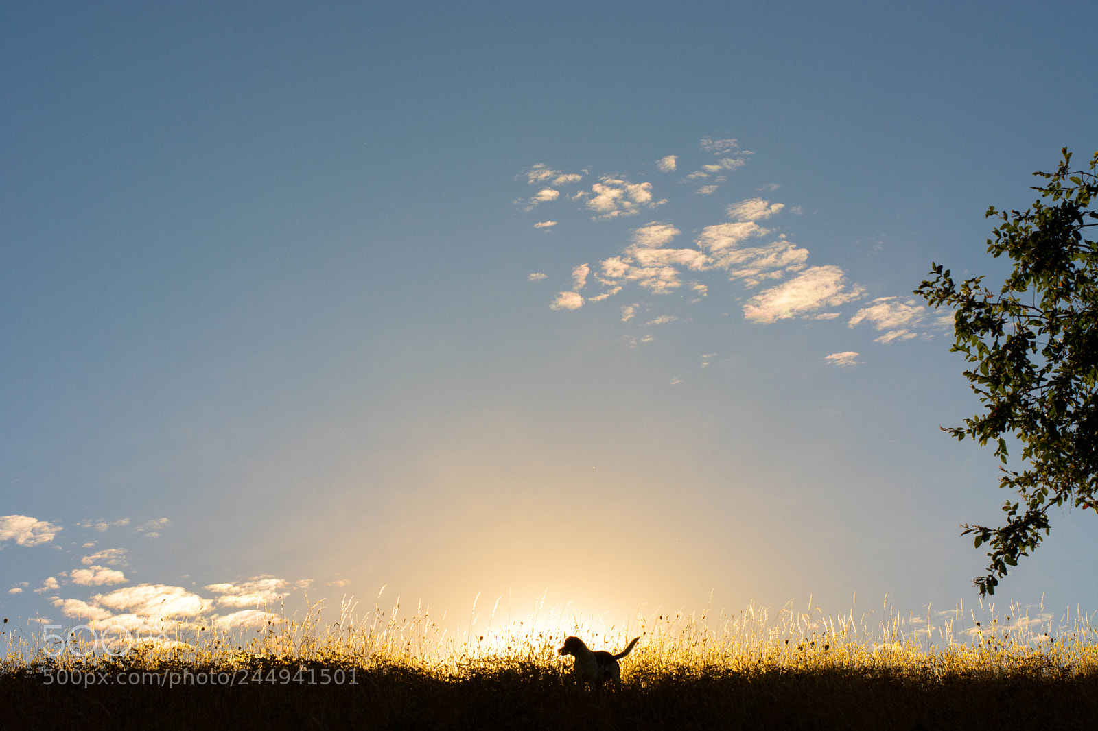 Nikon D5200 sample photo. Nature photography