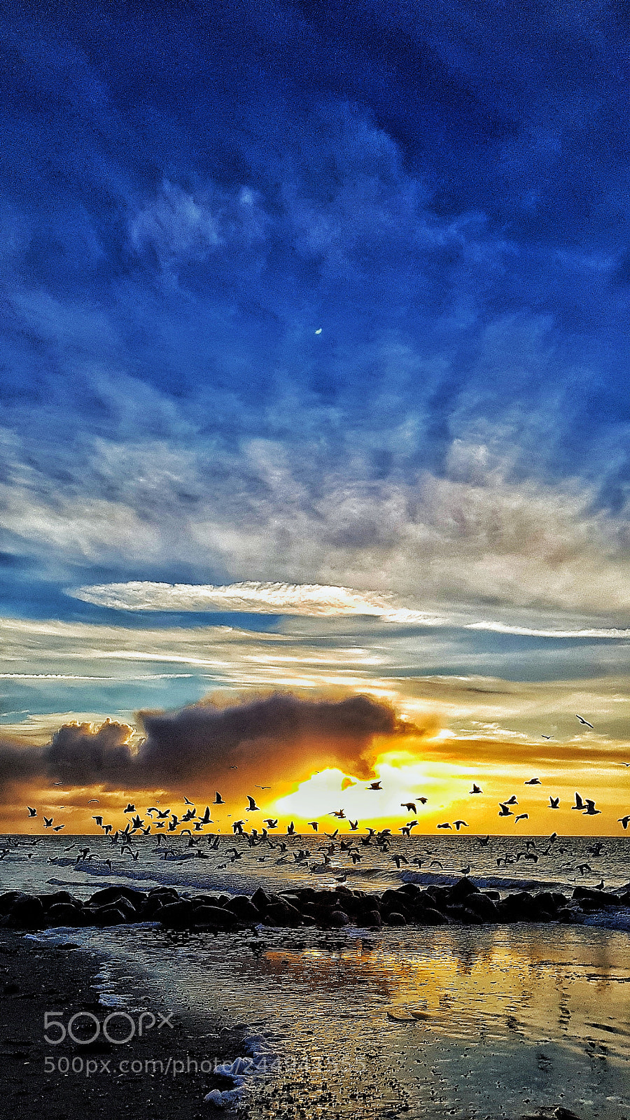 Samsung Galaxy S8+ sample photo. Untitled photography