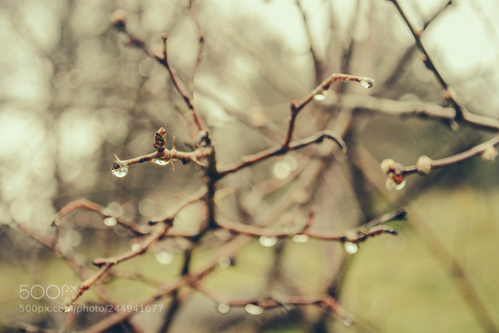 Nikon D5200 sample photo. Life photography