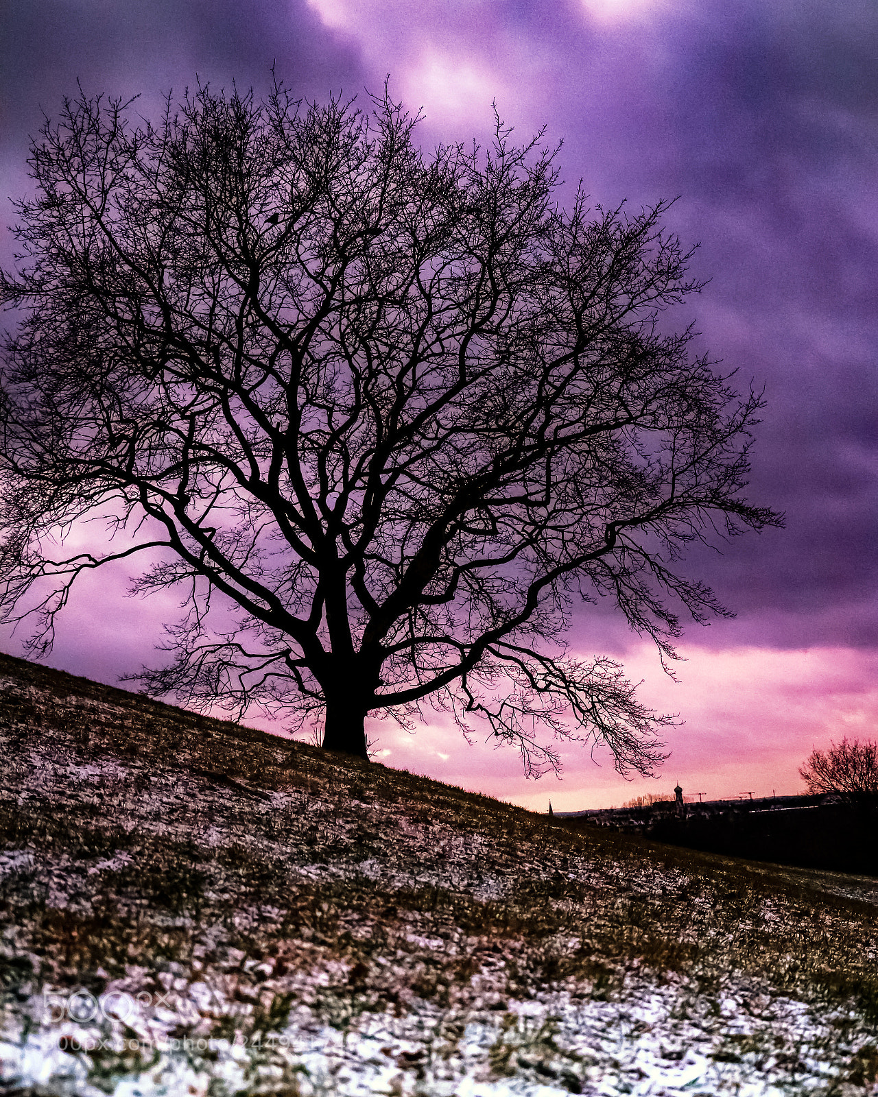 Canon EOS 6D Mark II sample photo. Purple clouds photography