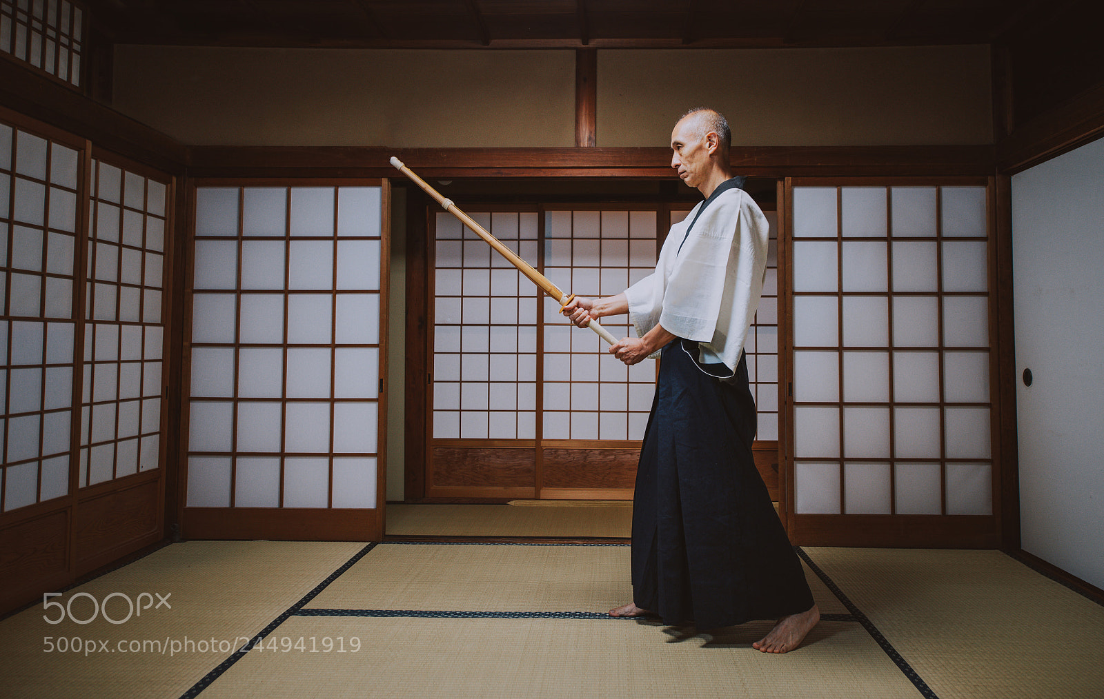 Nikon D610 sample photo. Senior martial art master photography