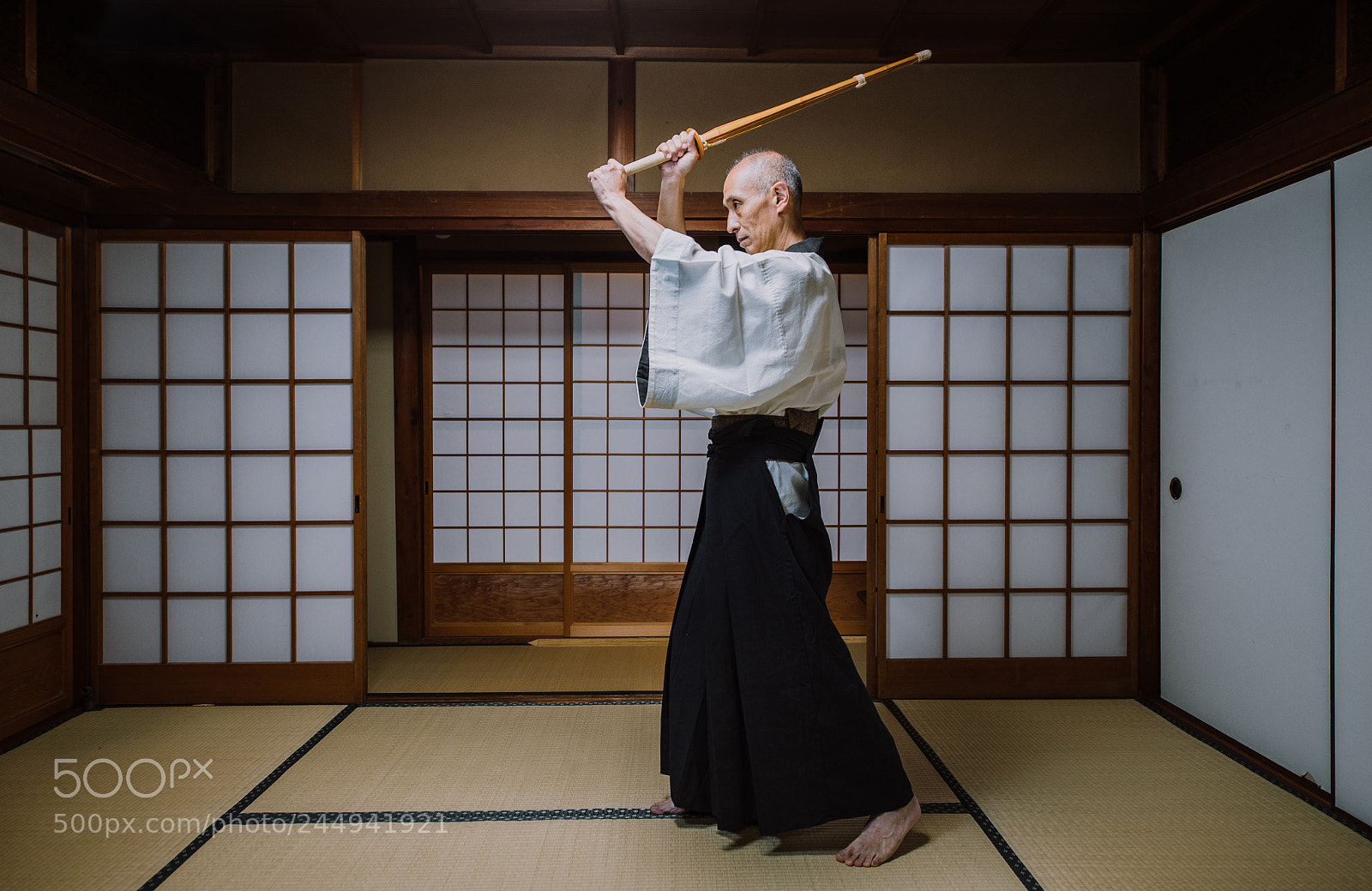Nikon D610 sample photo. Senior martial art master photography