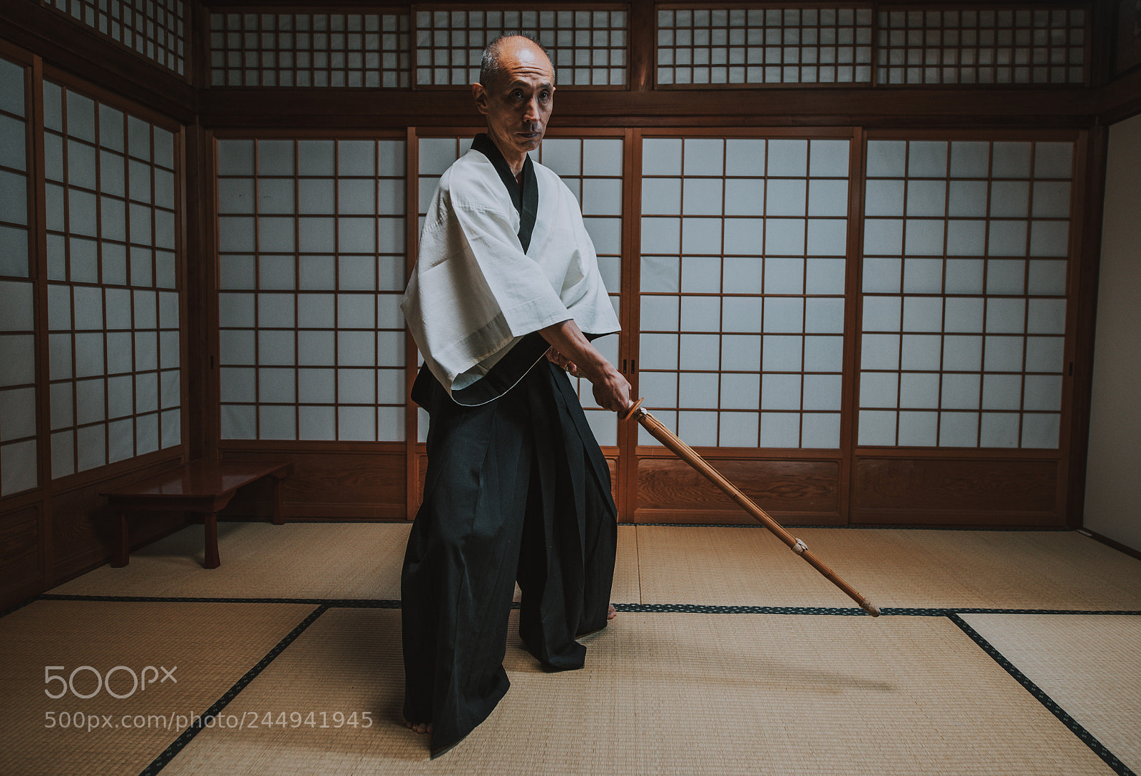 Nikon D610 sample photo. Senior martial art master photography