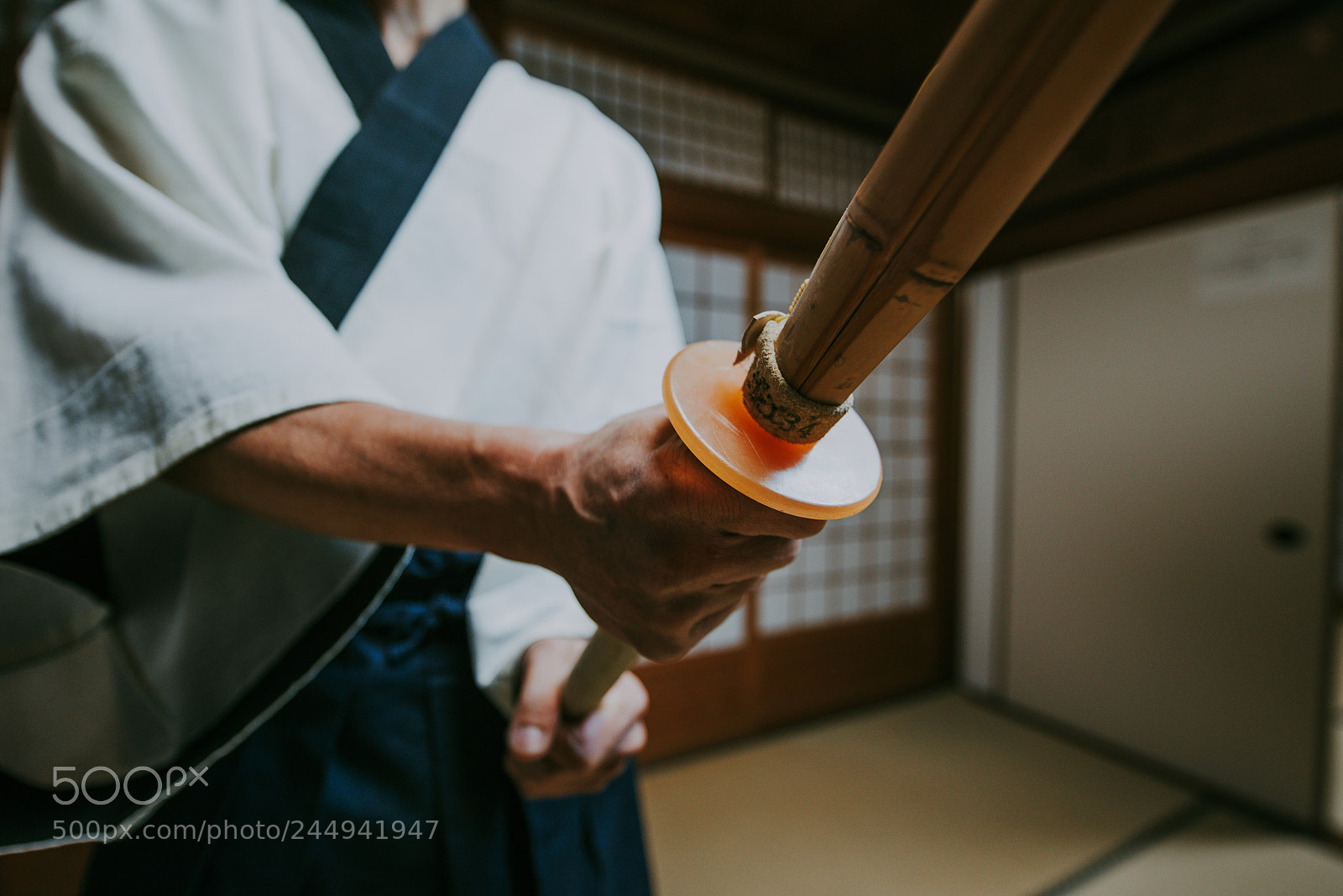 Nikon D610 sample photo. Senior martial art master photography