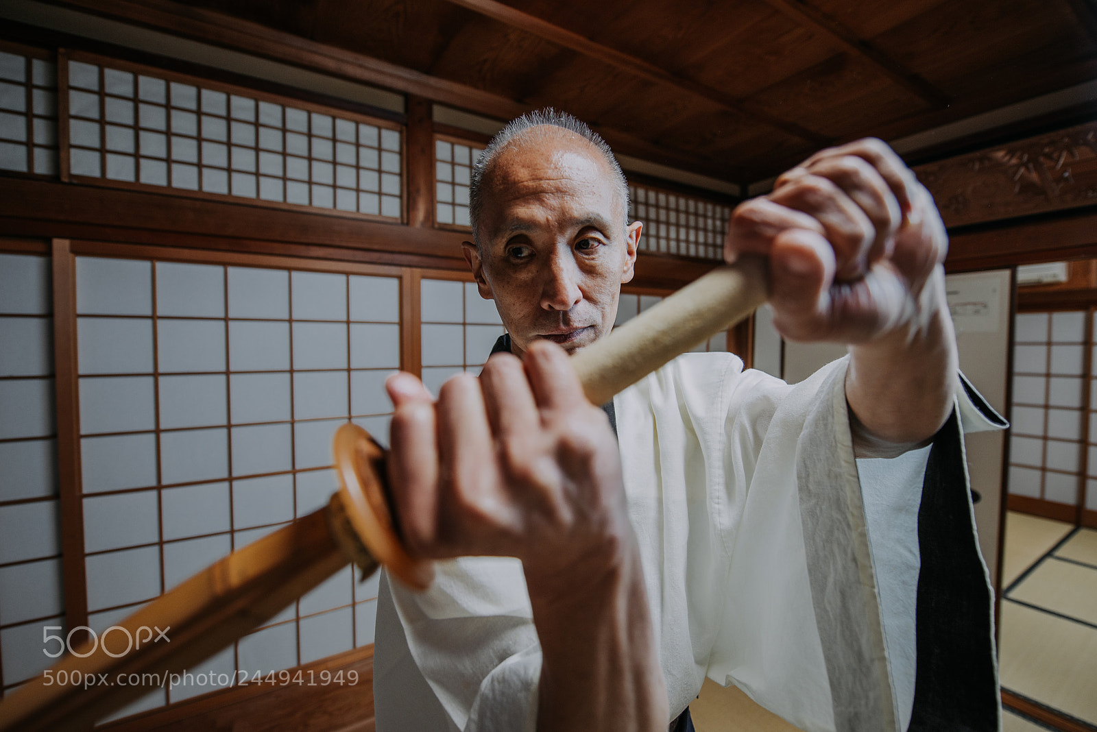 Nikon D610 sample photo. Senior martial art master photography