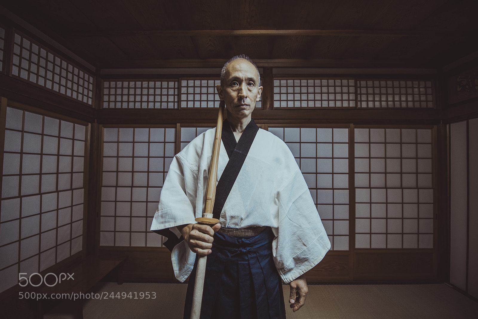 Nikon D610 sample photo. Senior martial art master photography