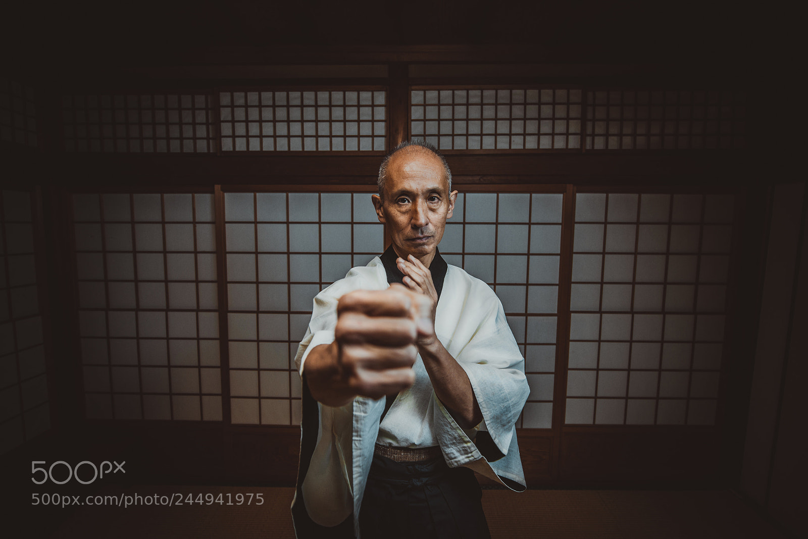 Nikon D610 sample photo. Senior martial art master photography