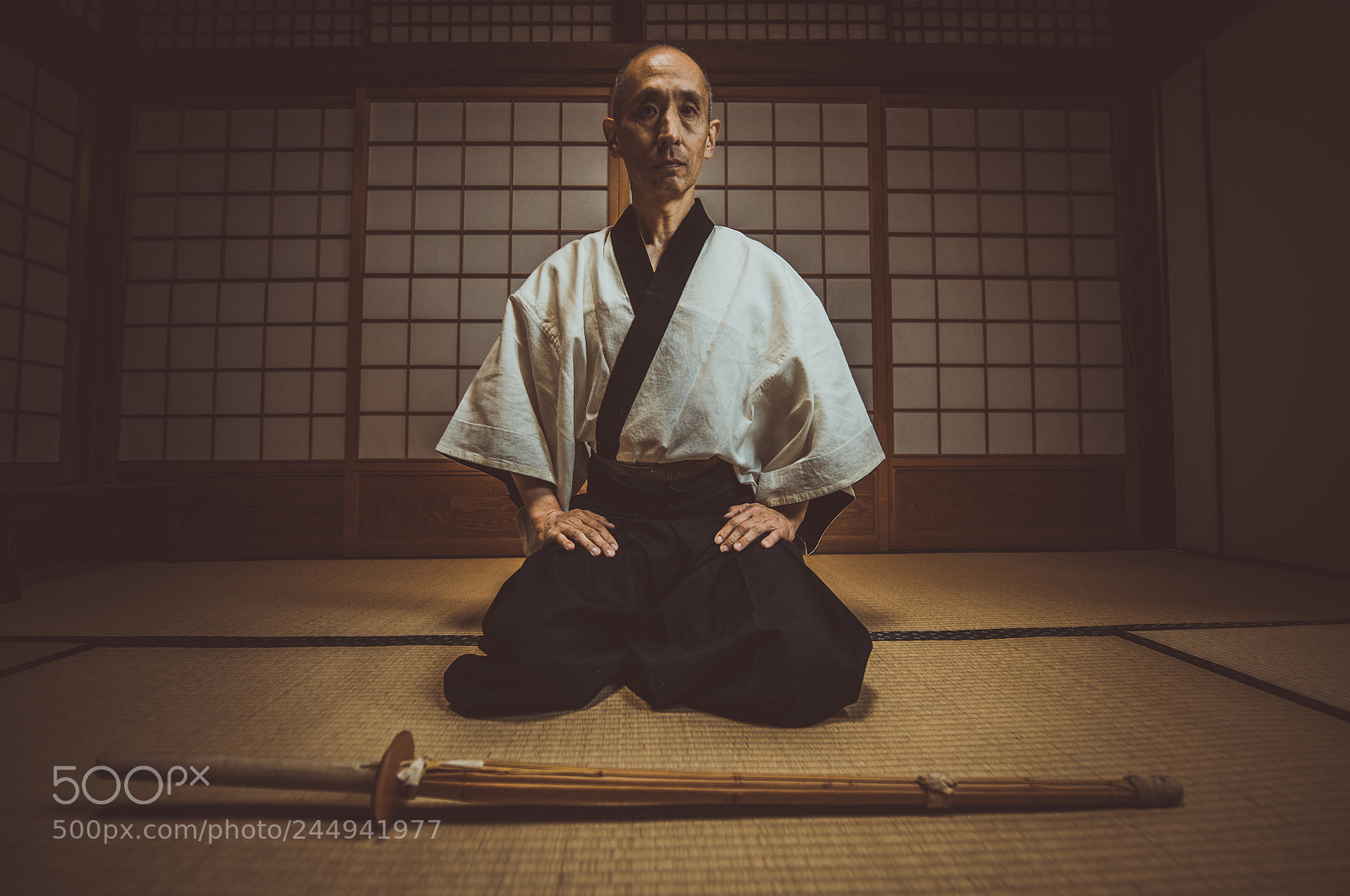 Nikon D610 sample photo. Senior martial art master photography