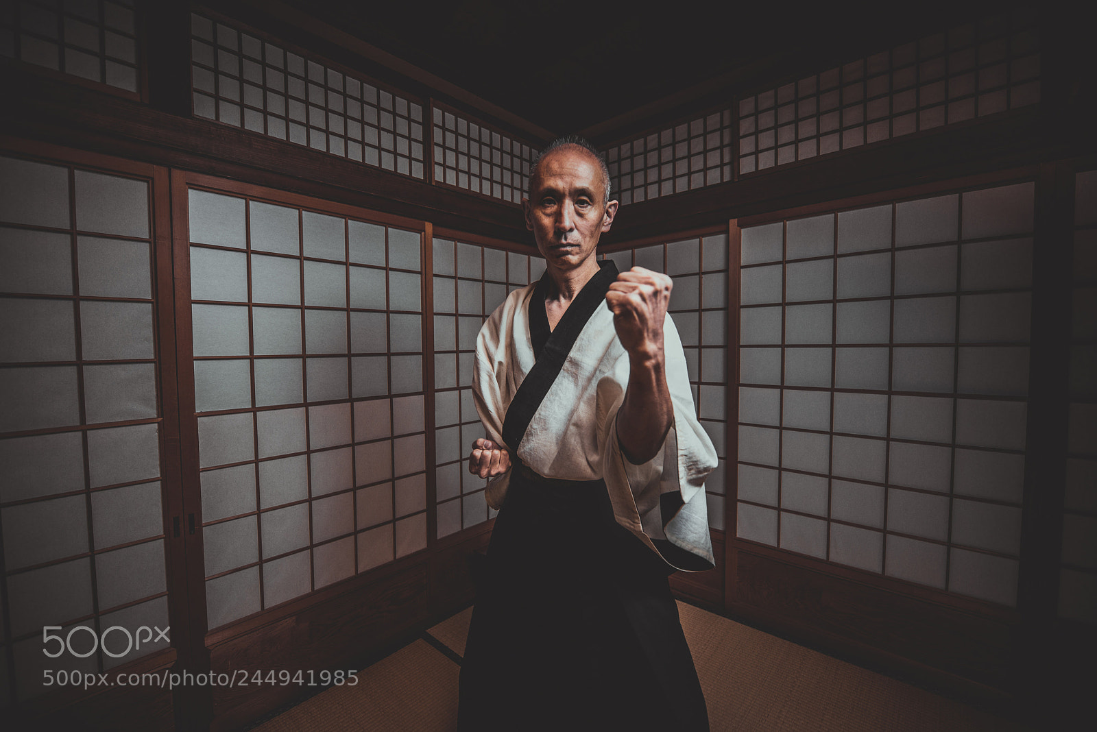 Nikon D610 sample photo. Senior martial art master photography