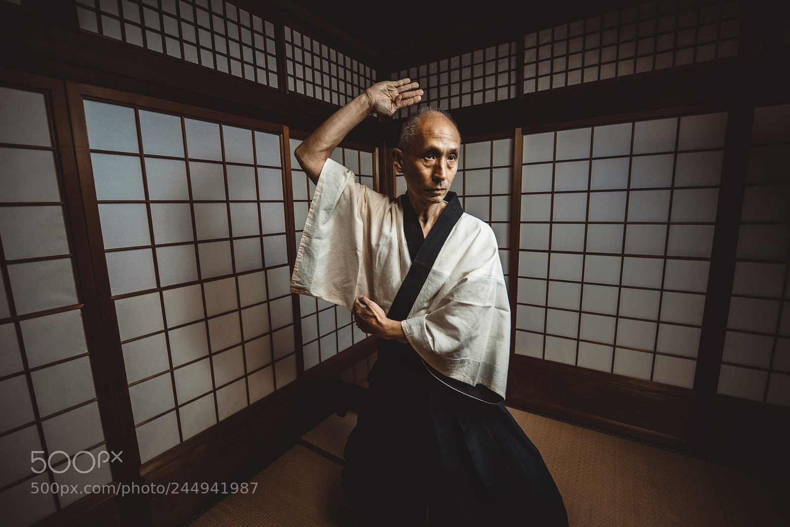 Nikon D610 sample photo. Senior martial art master photography