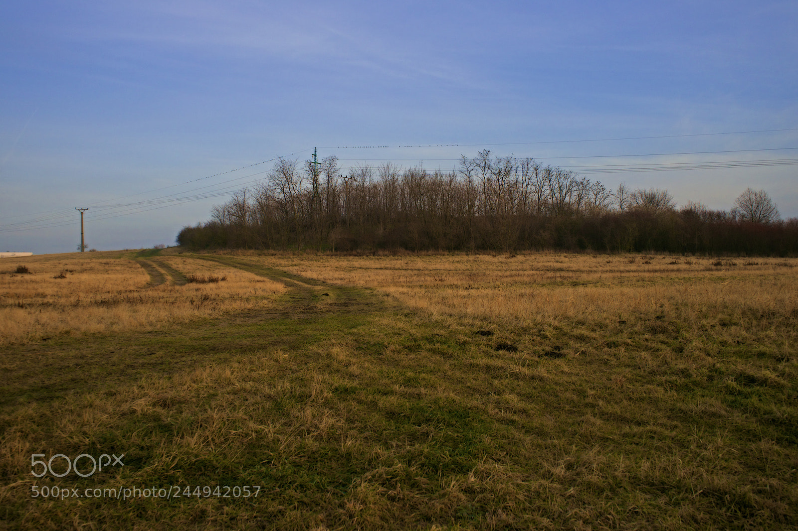 Sony a7 sample photo. Road on the meadow photography