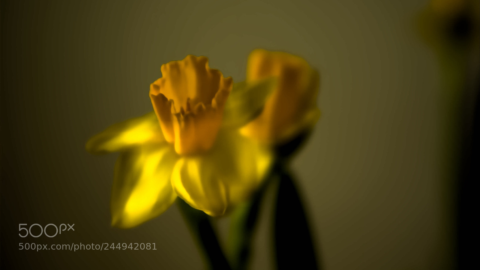 Pentax K200D sample photo. Untitled photography