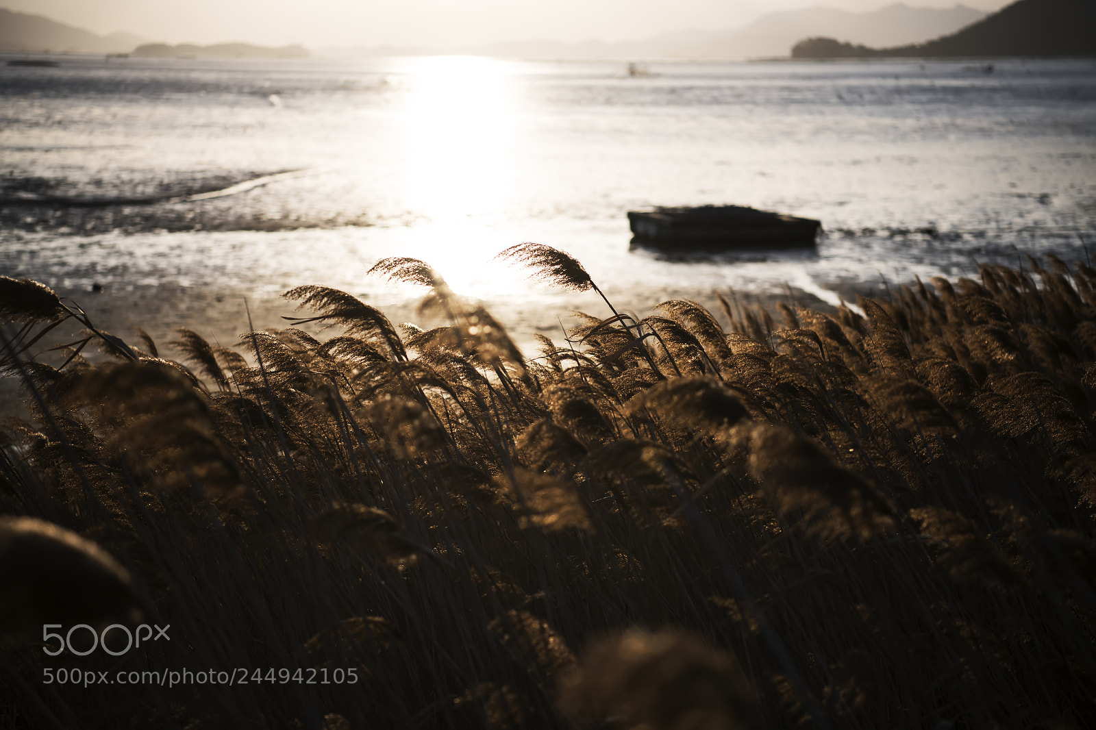 Nikon D850 sample photo. One day photography