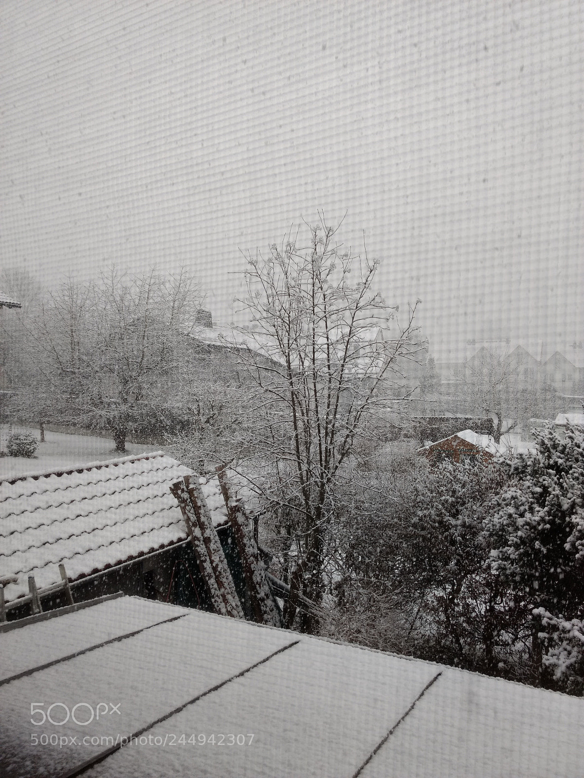 Motorola Moto G (4) sample photo. The first snow photography