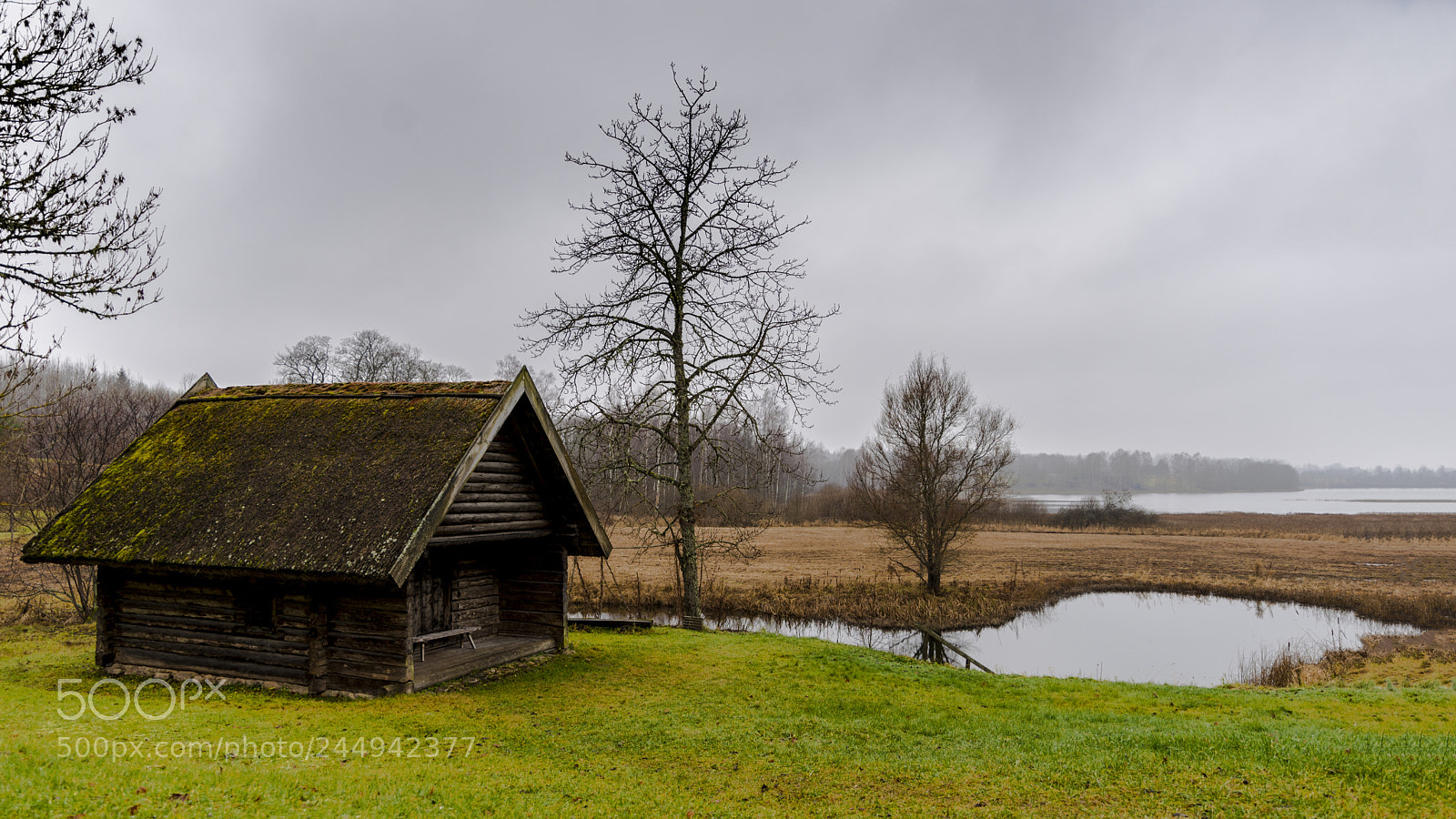 Nikon D610 sample photo. Traditional black sauna near photography