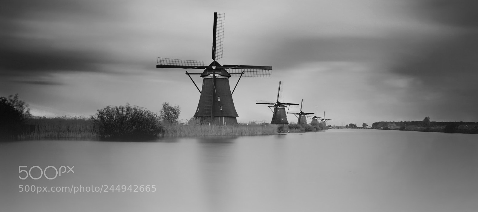 Sony a7R sample photo. So dutch photography