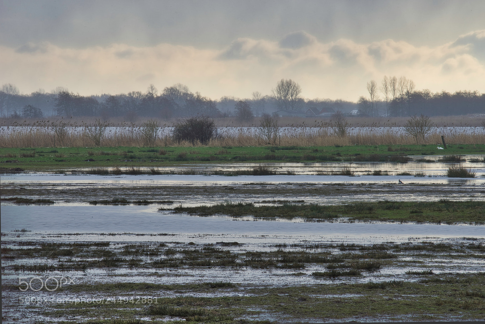 Sony a7 sample photo. Leekster layers photography