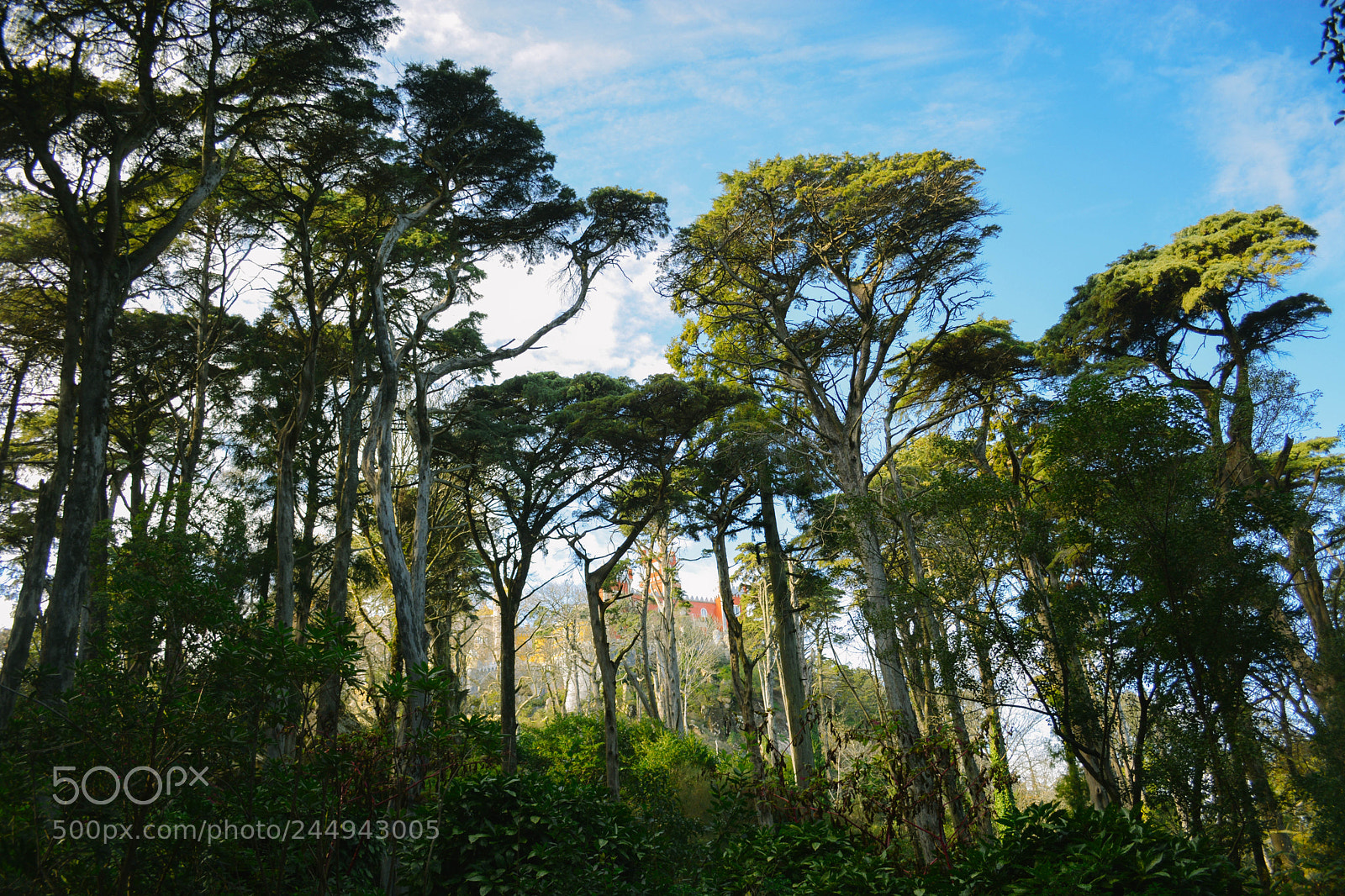 Nikon D5200 sample photo. Untitled photography