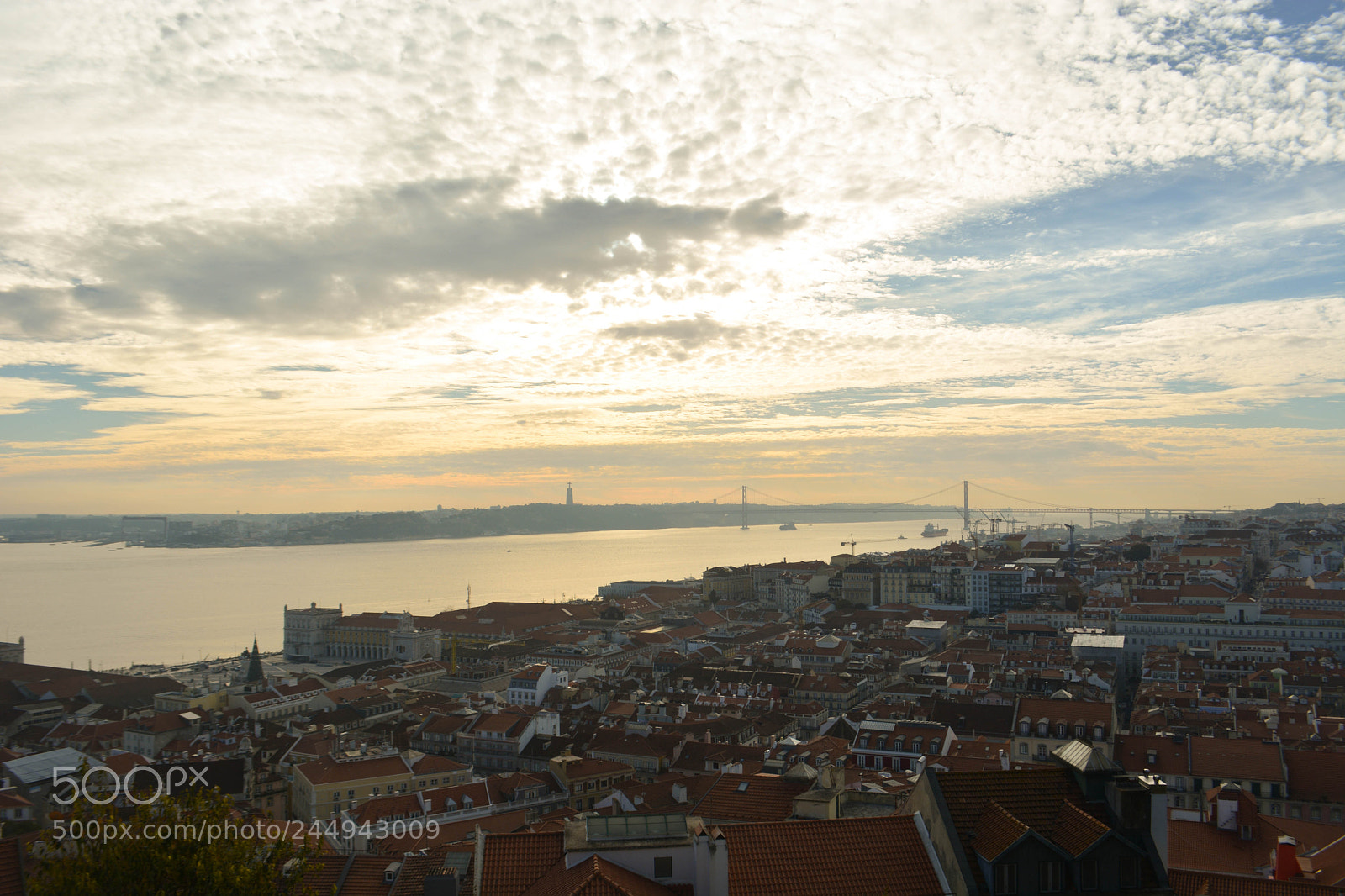 Nikon D5200 sample photo. Untitled photography