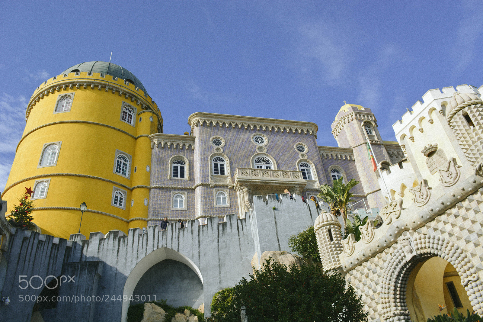 Nikon D5200 sample photo. Untitled photography