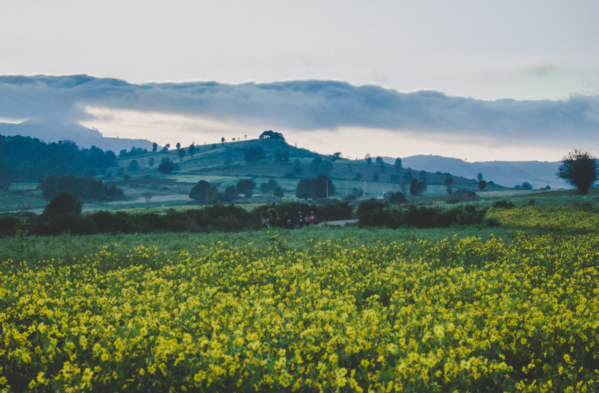 XIAOYI M1 sample photo. Farms and mountain photography