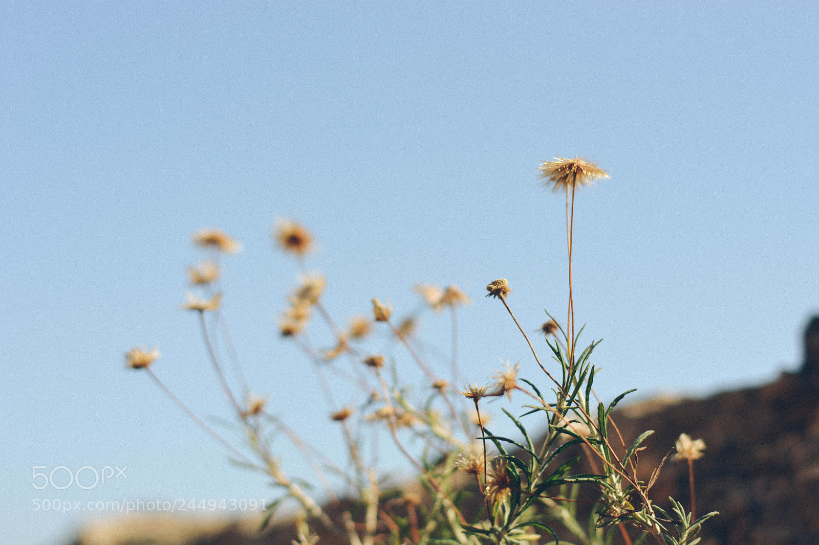 Nikon D5200 sample photo. Life photography