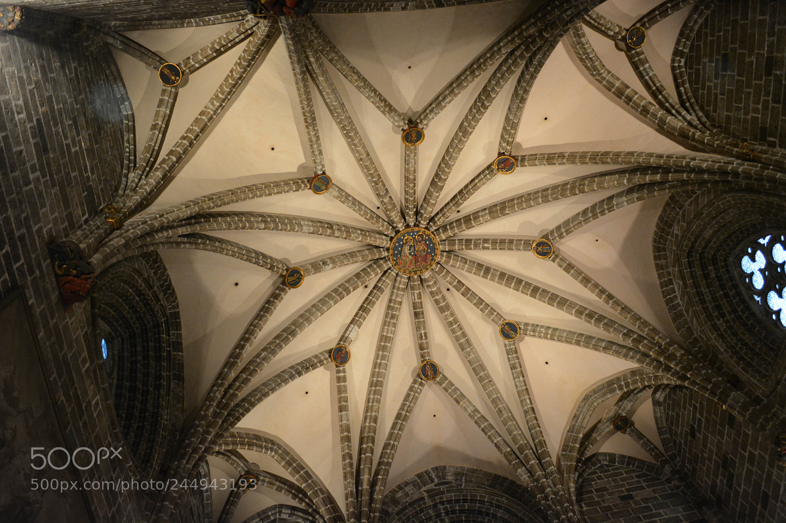 Nikon D5200 sample photo. Untitled photography