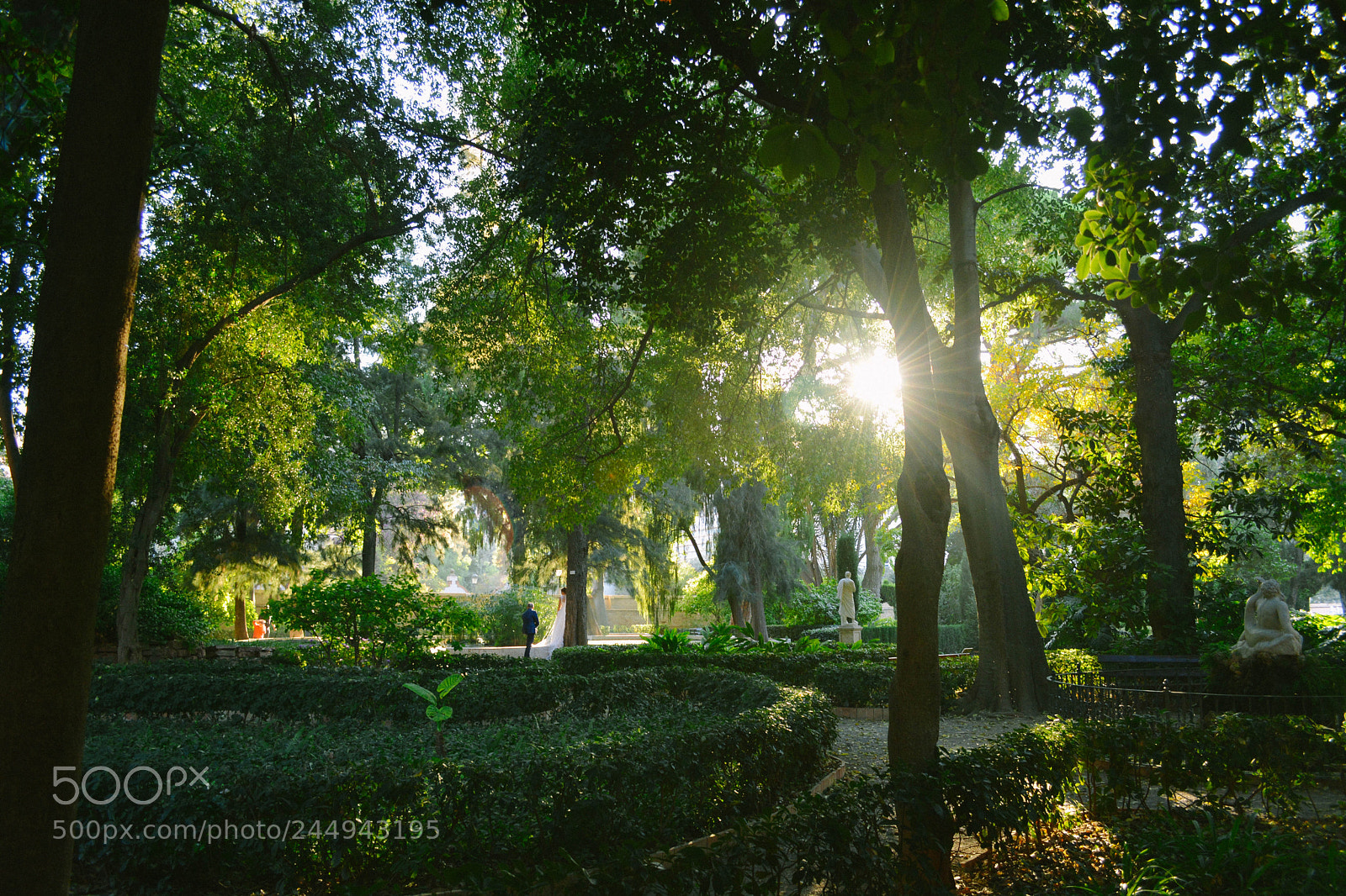 Nikon D5200 sample photo. Nature photography