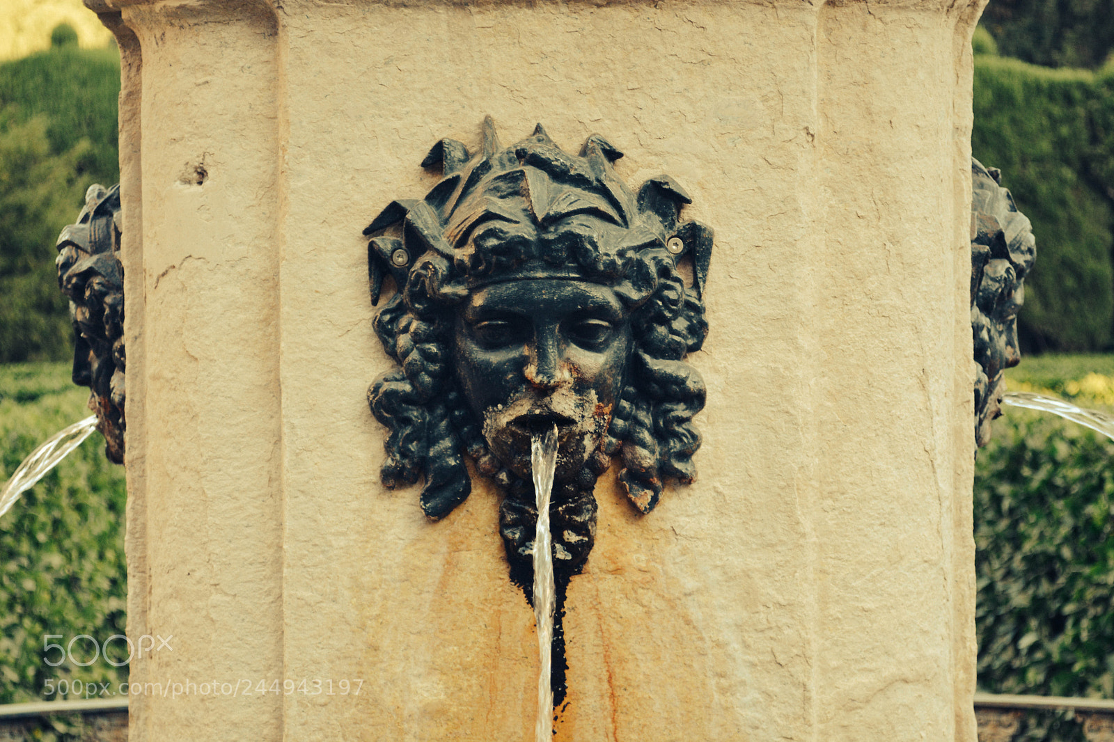 Nikon D5200 sample photo. Untitled photography