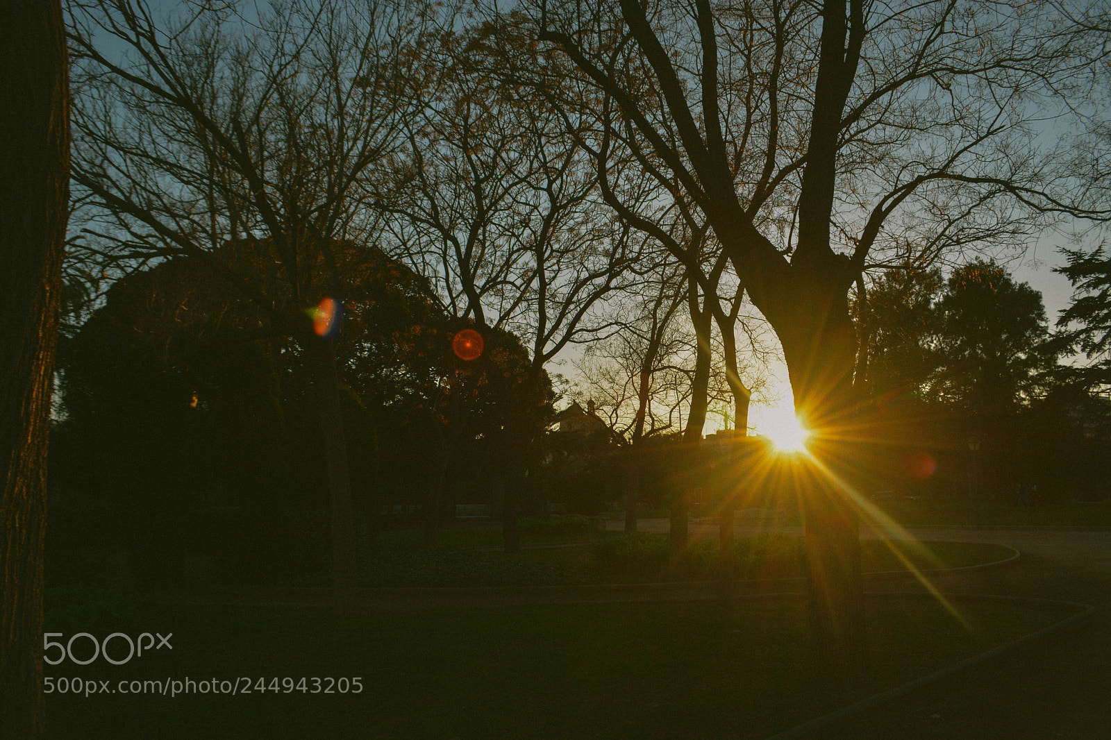 Nikon D5200 sample photo. Nature photography