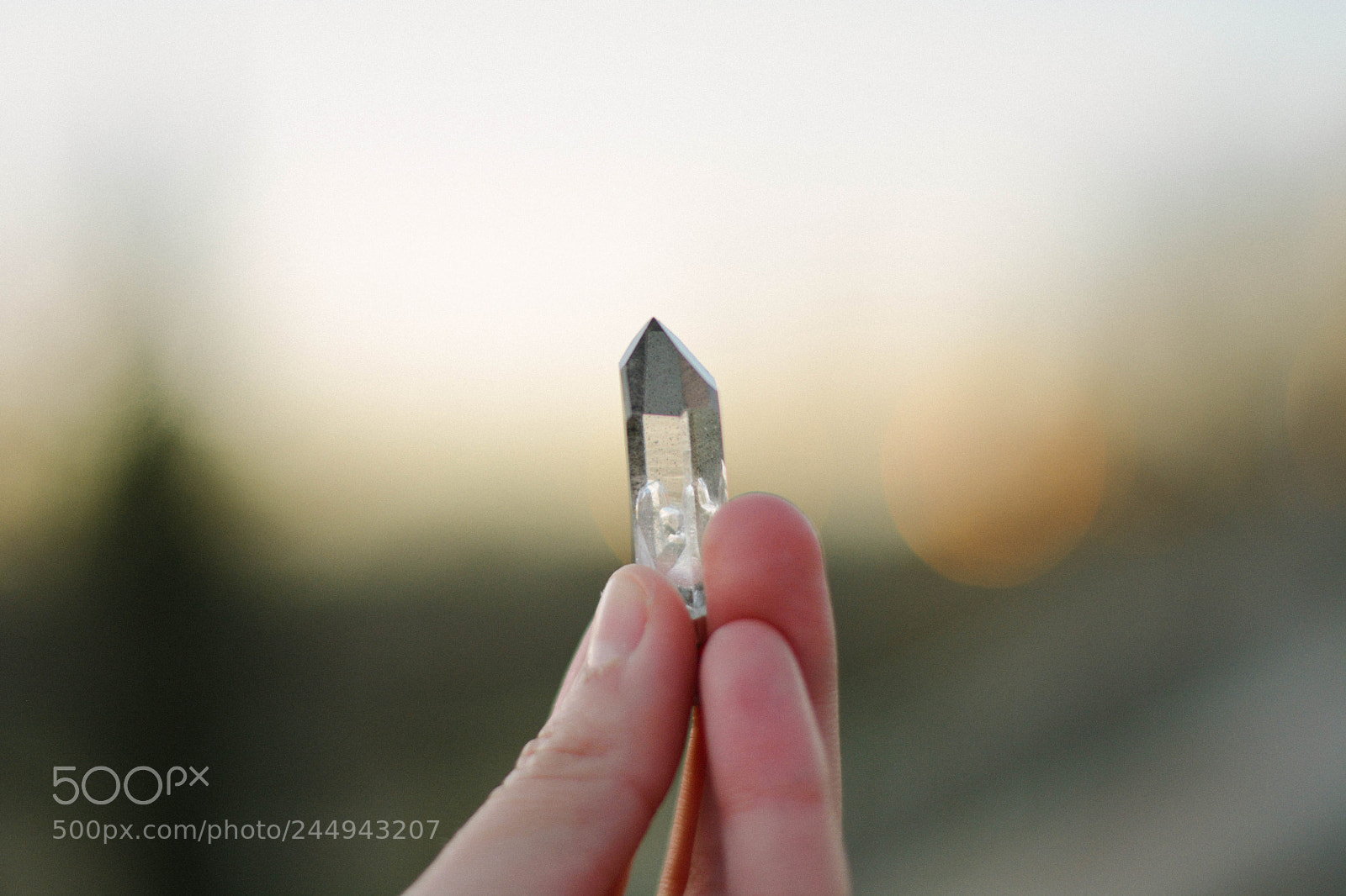 Nikon D5200 sample photo. Life photography