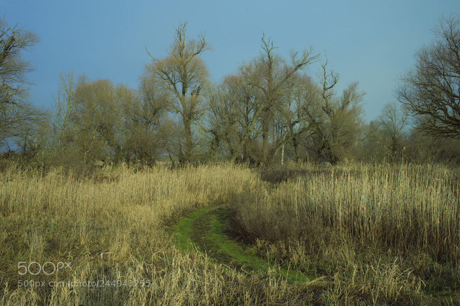 Sony a7 sample photo. Land photography