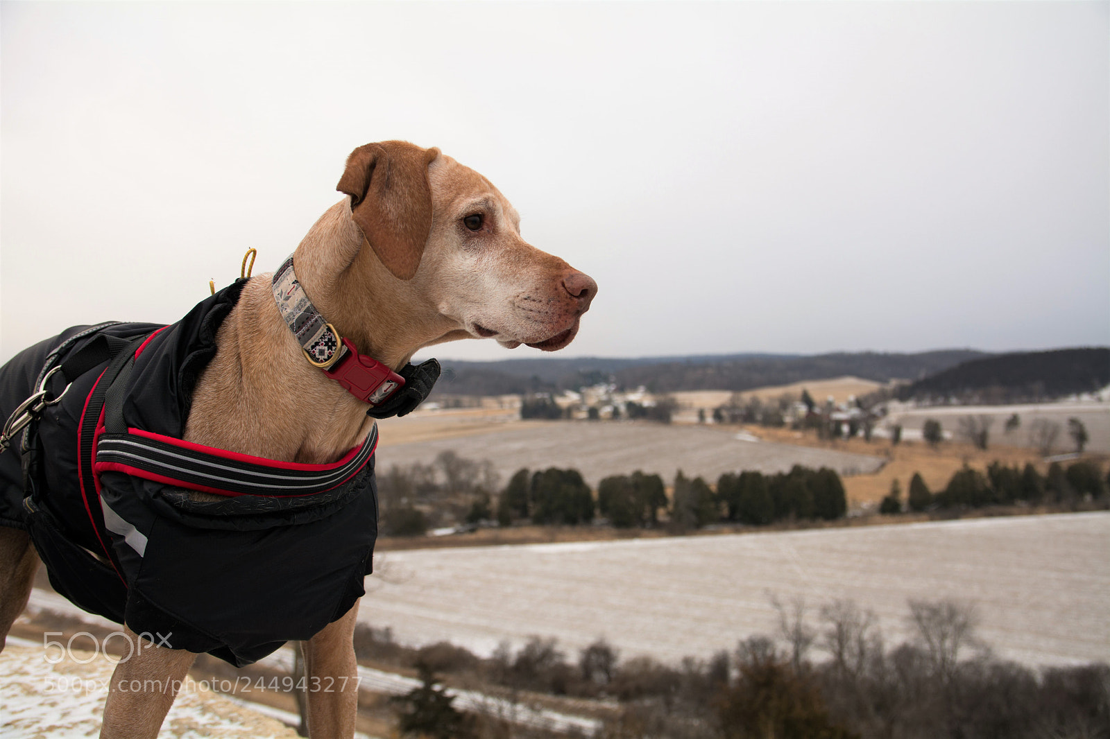 Nikon D7100 sample photo. Overlook photography