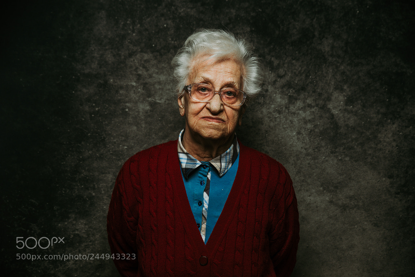 Nikon D610 sample photo. Grandmother portrait set in photography