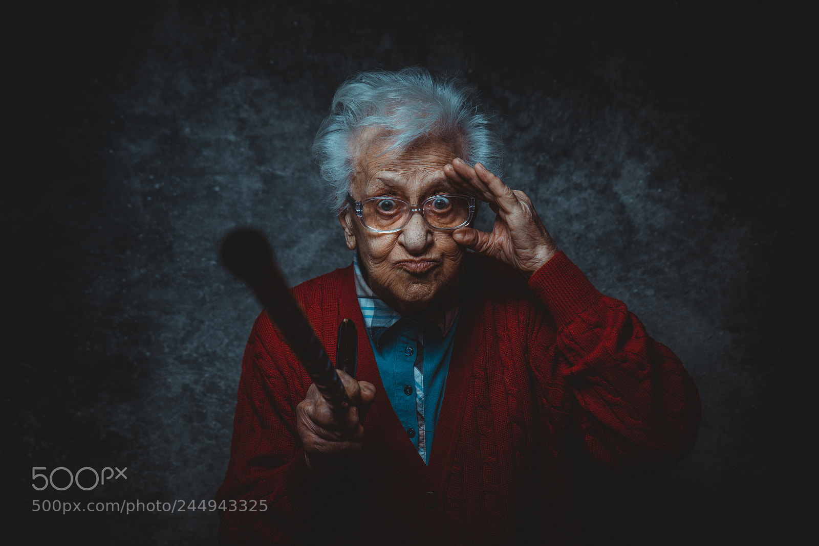 Nikon D610 sample photo. Grandmother portrait set in photography