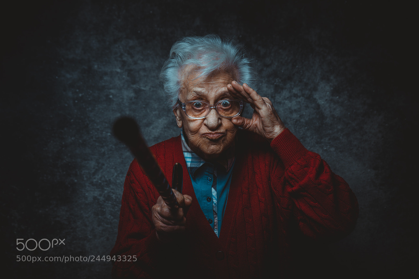Nikon D610 sample photo. Grandmother portrait set in photography
