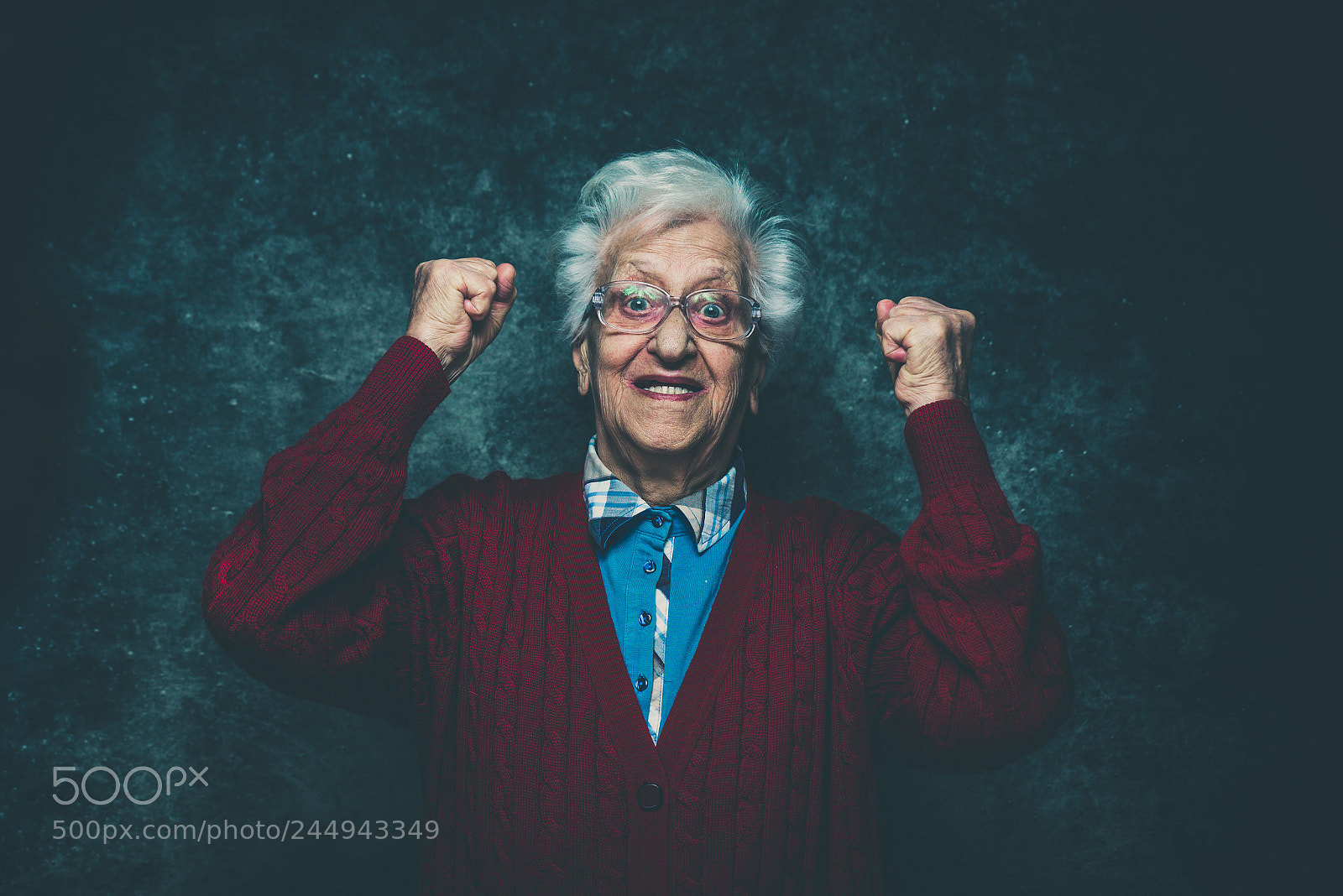 Nikon D610 sample photo. Grandmother portrait set in photography