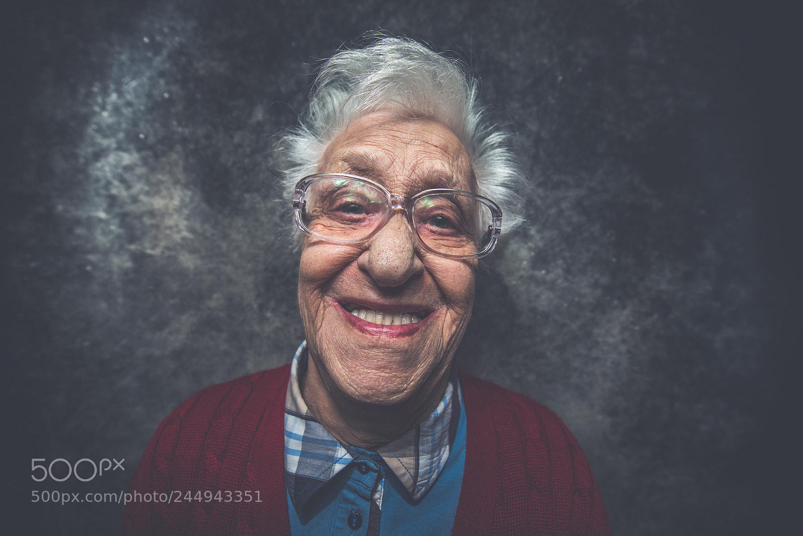 Nikon D610 sample photo. Grandmother portrait set in photography