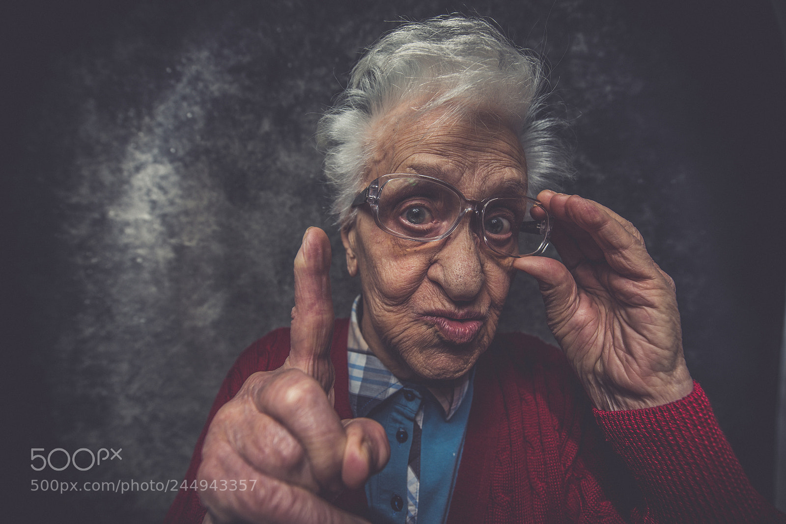 Nikon D610 sample photo. Grandmother portrait set in photography