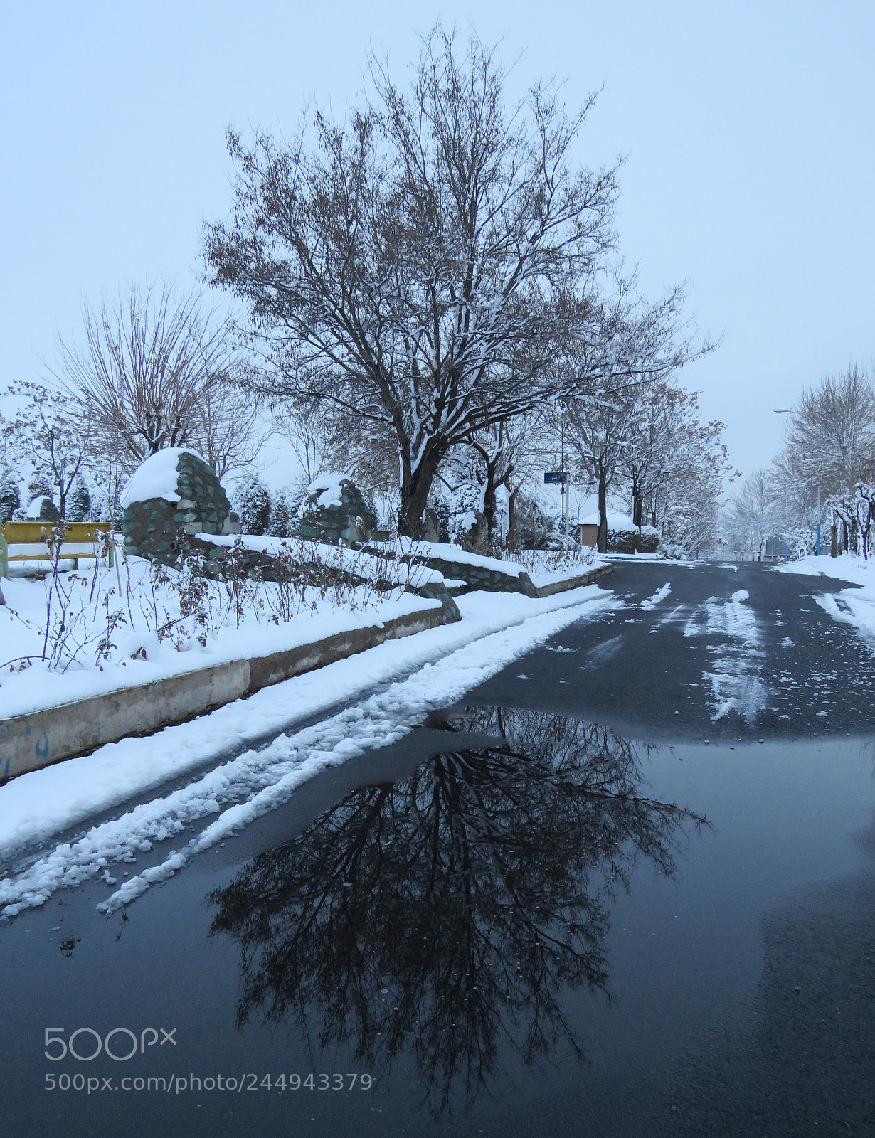Canon PowerShot SX60 HS sample photo. Untitled photography