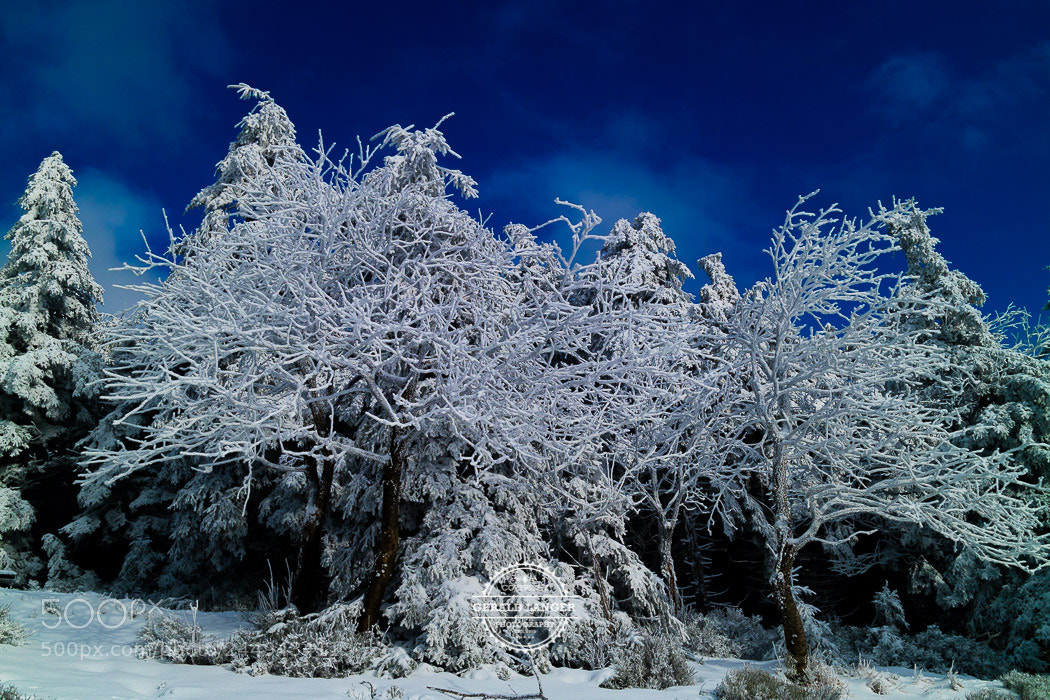 Canon EOS M3 sample photo. Oberhof photography